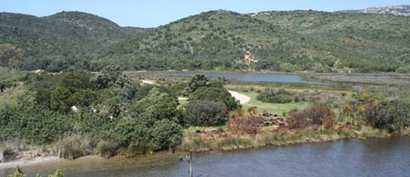 Ornithologie en Corse du Sud