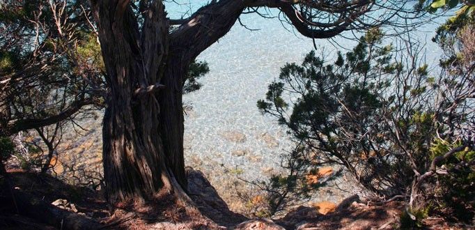 Entdecken Sie das authentische Korsika von Ihrer Unterkunft aus.